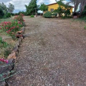 I 13 Pini Di Putzu Anna Maria Giba